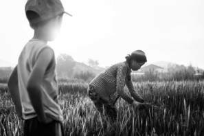 Vietnam farm where a boy and his mother are working in the field