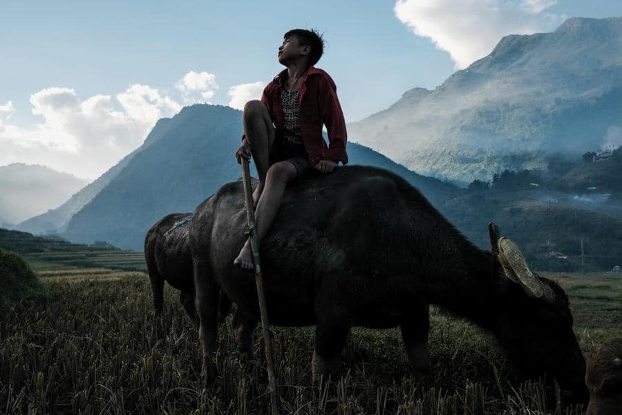 Boy and his buffalo in Northern Vietnam