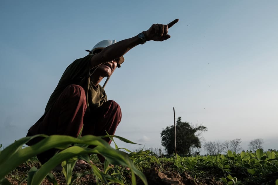 A farmer near Hoi An, Vietnam looks at his field, pointing to something out of frame