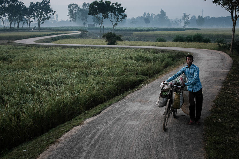 Man and bicycle in the fields around Bogra