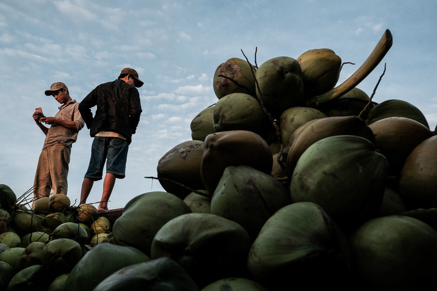 early morning coconut sellers on the mekong in long xuyen