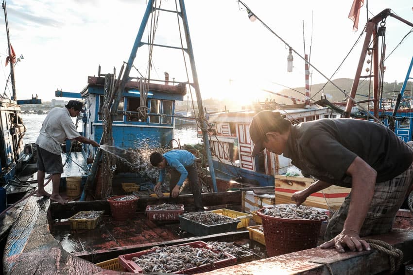 Capturing fishermen unloading their boats in Sa Huynh fish market during a Pics of Asia photography tour