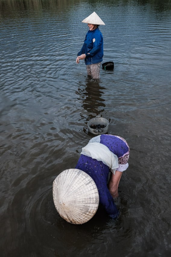 Two women wearing conical hats bending over the water to harvest clams on a Pics of Asia photo tour