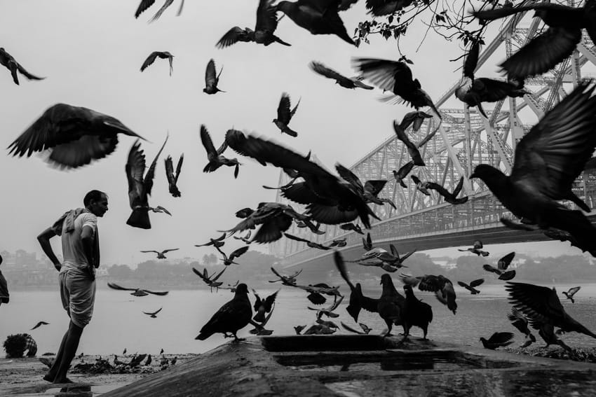 A flock of pigeaons take up in the air in front of the Howrah bridge in Kolkata during a photo tour with pics of asia