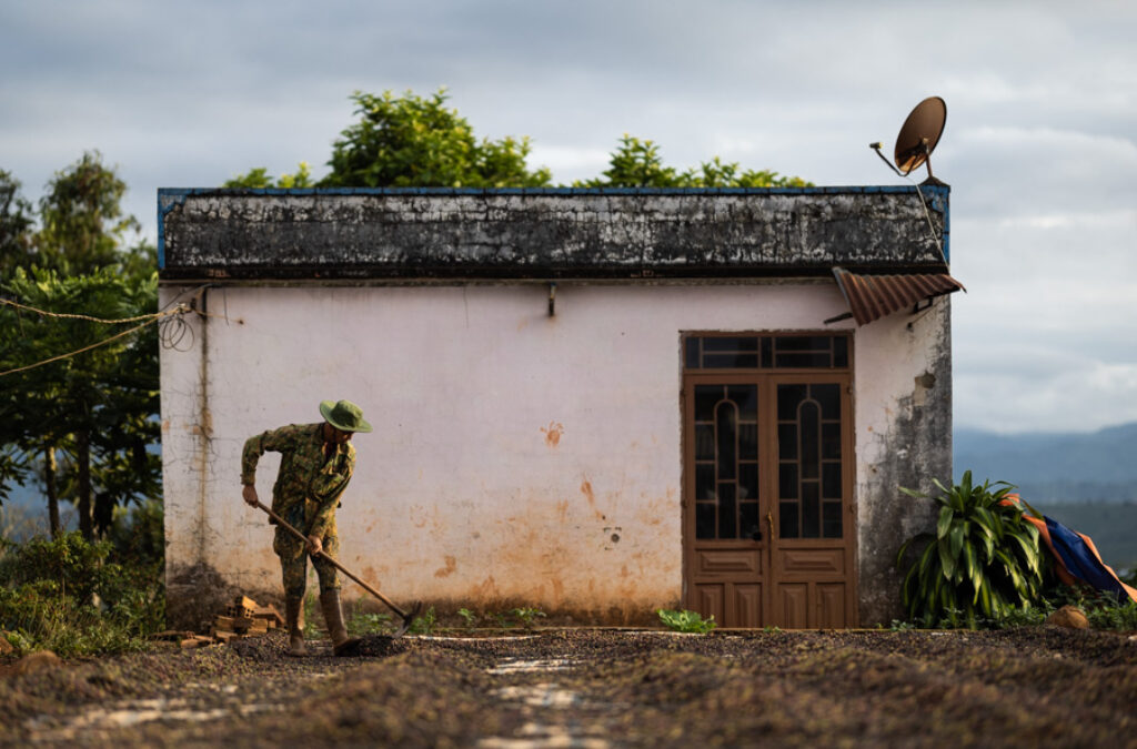 A man is drying coffee in front of his house near Dalat in Vietnam