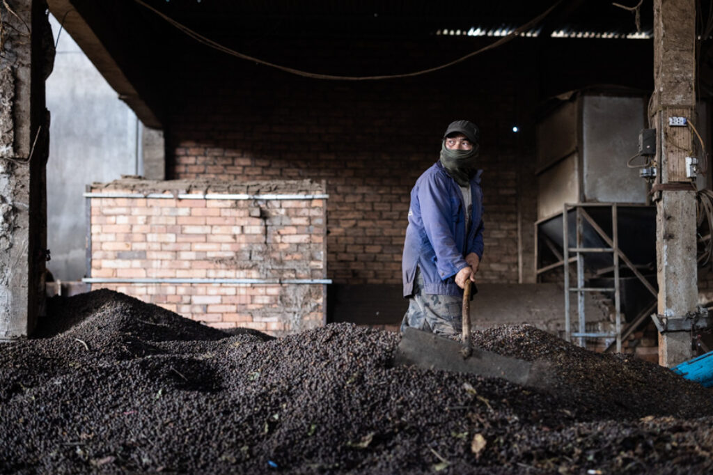 A man is working in a coffee factory near Di Linh in Vietnam