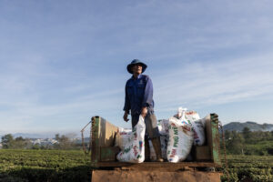 A man stands in a trucks filled with fertilizer in the central Vietnam Highlands