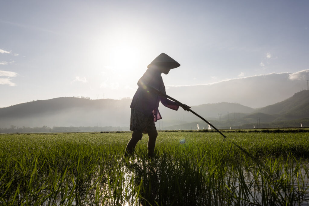 Incredible surroundings for a photo tour in Vietnam