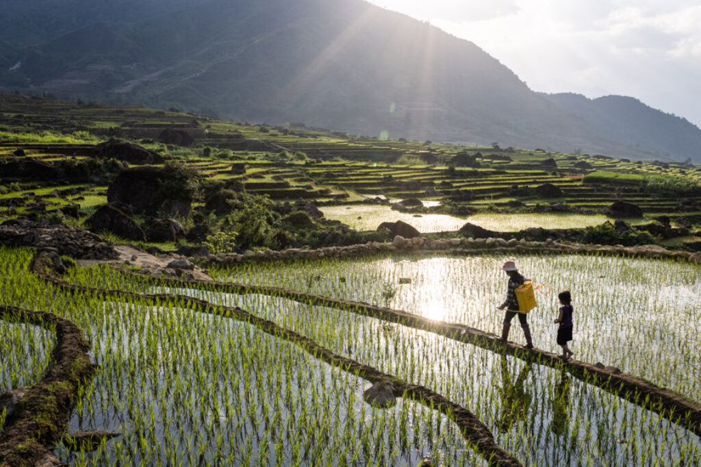 North Vietnam photo tour with Pics of Asia