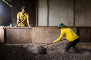 Vietnam coffee processing factories photography